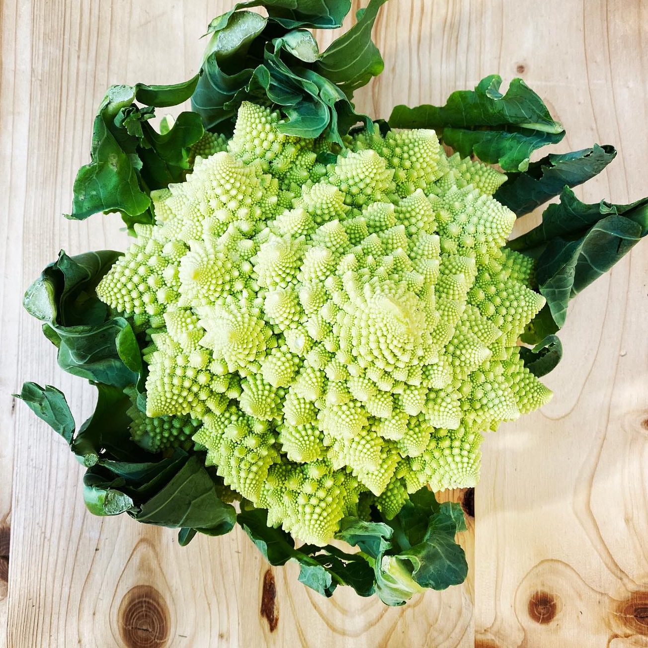 Choufleur-romanesco Morosini Green Gourmet