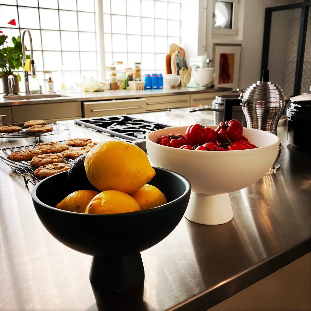 Morosini-vrac Morosini Green Gourmet