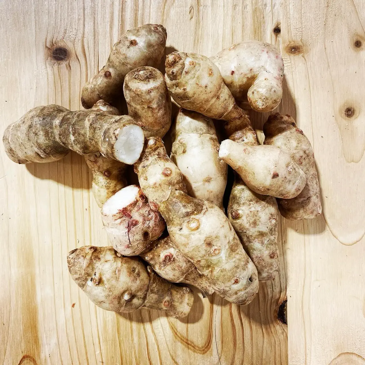 Topinambour-morosini Morosini Green Gourmet